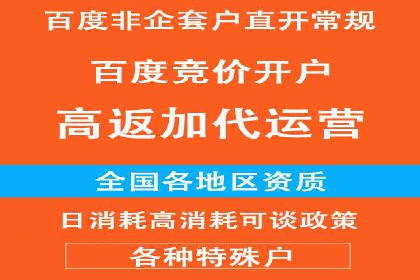 百度竞价投放技巧：行业领先企业的成功策略案例